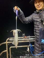 5월3일 한치 먼바다 굿 조황 입니다 월요일 출조모집중