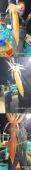 [거제블루]쿨러없이 떠나는 한치한치!!!야리이카/대포한치 마릿수조황  내일 4자리~~ 사진