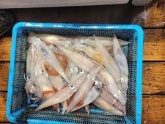 5월29일 대포한치잡으러 인원관계없이 정상출조합니다  사진