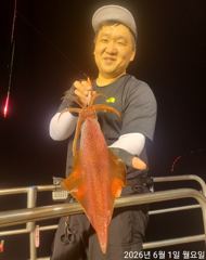 여수 6월1일 대포한치 조황입니다 사진
