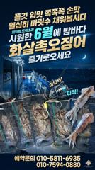화살촉오징어 