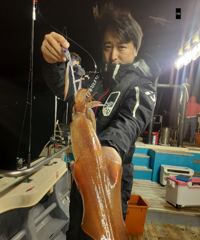 여수 한치 6월6일 철수조황입니다 사진