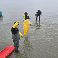 영종도 삼목항 강백호 상합 해루질 체험 사진