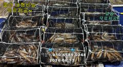 17일"화살촉오징어" 망탱가득~ 느나느나~ (예약가능합니다) 사진