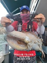 17일, 신발짝 갑오징어~싸이즈 굿굿~"오늘도 야간갑오징어 오늘도 출조합니다"~군산 포세이돈호 사진