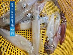 ＜＜통영 뉴명륜호＞＞ 대포한치!!! 히트히트!! 손맛좋고^^ (7/7화 5자리 예약가능)