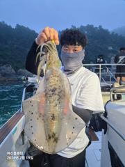 7/19 산란?무늬 오징어 조황 사진