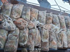 7월25일 팔포1호 키로오바 16수 포함 마릿수 대~박 ((29일 자리여유 => 지금바로 010.2565.5943 전화주세요)) 사진