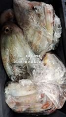 7월26일 철수 통영한치 오늘 두자리 공석 사진