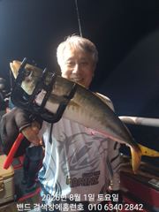 8월1일 군산 홈런호 야간 고등어 출조 하였습니다! 실시간 묵직한 사이즈고등어.전갱이 구경 하세요! 사진