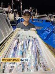 8월2일 흥부 갈치 대박 월화수목  매일 출항   사진