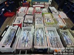먼바다갈치 사이즈좋고 마릿수시작~기상양호시엔 계속예 약가능 사진