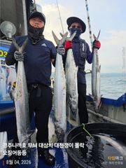 대삼치 실시간 융단 폭격중 사진