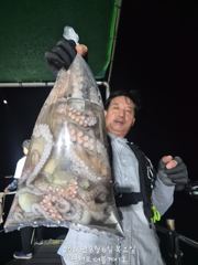 삼천포 문어조황! 주간반, 야간반 매일출조! 사진