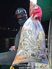삼천포 문어조황! 주간반, 야간반 매일출조! 사진