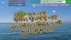 8월8일 홍원항힐링호 찌릿찌릿 백조기 수조기 조황~!12명의 조사님과 가족분위기 출조길...사이즈가 미쳤네요 ㅋㅋ 잘 나와주네요.#백조기 #홍원항힐링호 #힐링호 사진