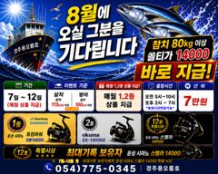 8/8 대삼치 실시간 조황입니다. 사진