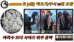 루어파이터호-8/8 토 [2물] 백조기/부서 12명 조항 입니다. 사진