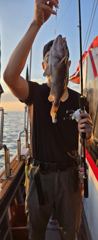 오스타호 26.08.08 오전6시간 우럭광어 조황 사진