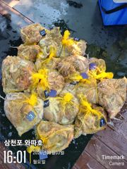 내일 종일반 출항합니다 자리여유 사진