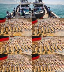 ♥ 붉바리들..이정도는 잡아봐야지요 역대급 초대박 붉바리조황입니다[2026년08월14일] ◎ 해마루호가 뜨는이유? 조황때문이죠 ◎ 핵심포인트: 바로진입.. 바로히트.. ▣ 차원이...