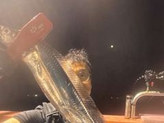 [준내만갈치]돼지갈치~최고5지까지!! 월요일부터예약가능합니다^ㅡ^ 사진