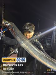 [진해] 파다닥 은갈치 손맛직이네! 월욜부터 자리있어요! 전화주세요~ 사진
