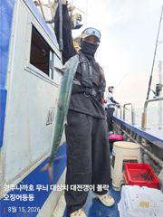 오전 피딩 타임 대삼치 요기 다 있네요 ^^~~~~~ 사진