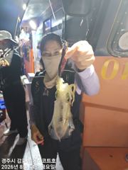 연휴 주간 대삼치및방어/야간 무늬오징어 팁런 예약중입니다