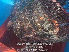 (실시간)문어 K급까지~장원 두 자릿수 돌파~로마피싱(16일 예… 사진