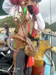 [사천] 내일 수중전갑니다 자리여유 많습니다 사진
