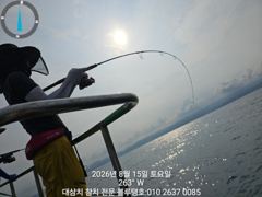 15/토ㅡ대삼치들 조황입니다! 사진