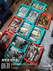 오늘 팁런 예약중입니다 내일 주간문어 정상출항합니다 사진