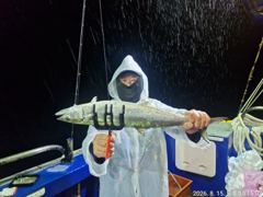 8.15도시어부호 야간 고등어 실시간 조황 사진