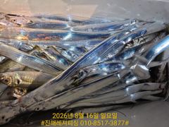 내만칼치ㅡ바글바글,루어,메탈,텐빈 가리지 않고 퍽퍽퍽(오늘예약가능) 사진