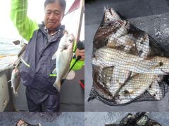 &lt;자연호&gt; 주간 백조기 실시간 조황(16일)-내일 백조기 정상출항합니다~! 사진