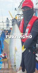 [부산 유강피싱] 유강호 부산권 부시리 파핑 지깅 조황입니다. 사진
