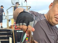 16 실시간>>돌문어 쫙~쫙~!~(화 자리널널) 사진