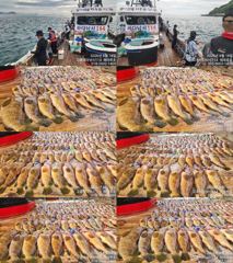 ♥붉바리들..이정도는 잡아봐야지요 대박 붉바리조황입니다 [2026년08월18일] ◎ 해마루호가 뜨는이유? 조황때문이죠 ◎ 핵심포인트: 바로진입.. 바로히트.. ▣ 차원이 다른 조...