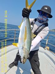부시리 조황 입니다