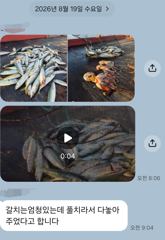 [마산] 마산 원전 선상낚시터 야간 조황 사진