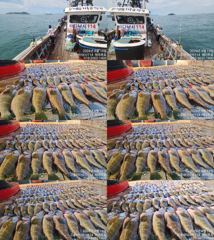 ♥붉바리들..이정도는 잡아봐야지요 대박 붉바리조황입니다 [2026년08월19일] ◎ 해마루호가 뜨는이유? 조황때문이죠 ◎ 핵심포인트: 바로진입.. 바로히트.. ▣ 차원이 다른 조...