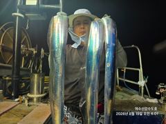 8월19일 입항 여수 신강수도호 갈치조황 사진