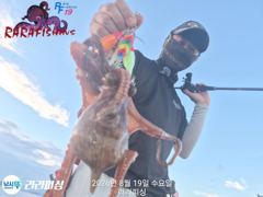 [진해] 19일(야간문어) 목.금.토.쭉욱 예약가능 마릿수 덩치들 쫀쫀 … 사진