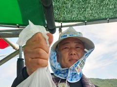 돌문어 전원손맛중 사진