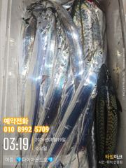 쿨러가득 사이즈 끝내줍니다! 예약가능! 전화주세요~ 사진