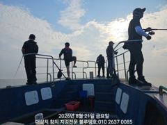 21/금, 오전ㅡ실시간 대삼치들! 사진