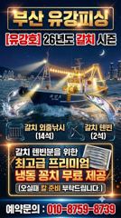 [부산 유강피싱] 유강호 먼바다 갈치 외줄 및 텐빈 조황입니다~~~ 사진