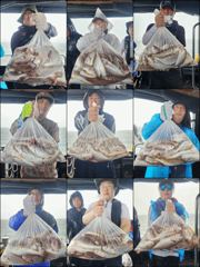 [백조기] ♡백조기♡ 8월 22일 굿~! 굿~! 조황~!^^ 사진