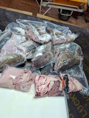 8월 22일 토요일 대구라바 조황!! 사진
